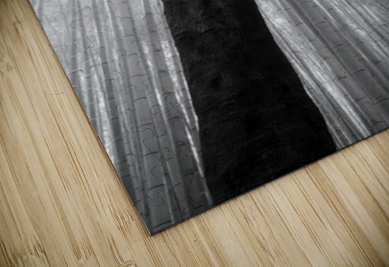 Fractured Rhythm Dave Bowman Puzzle