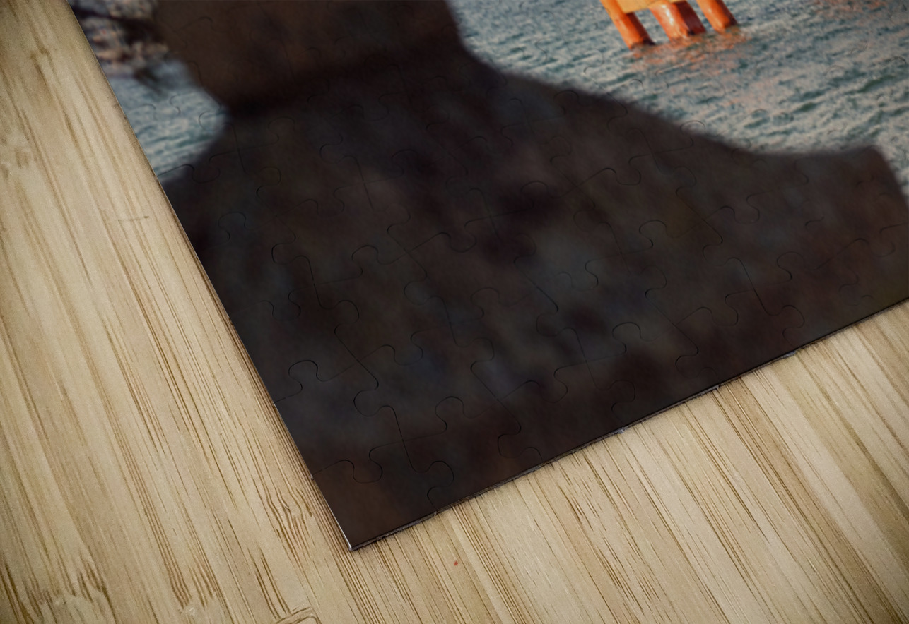 Miyajima Great Torii Dave Bowman Puzzle