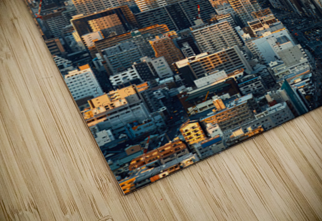 Osaka View Dave Bowman Puzzle