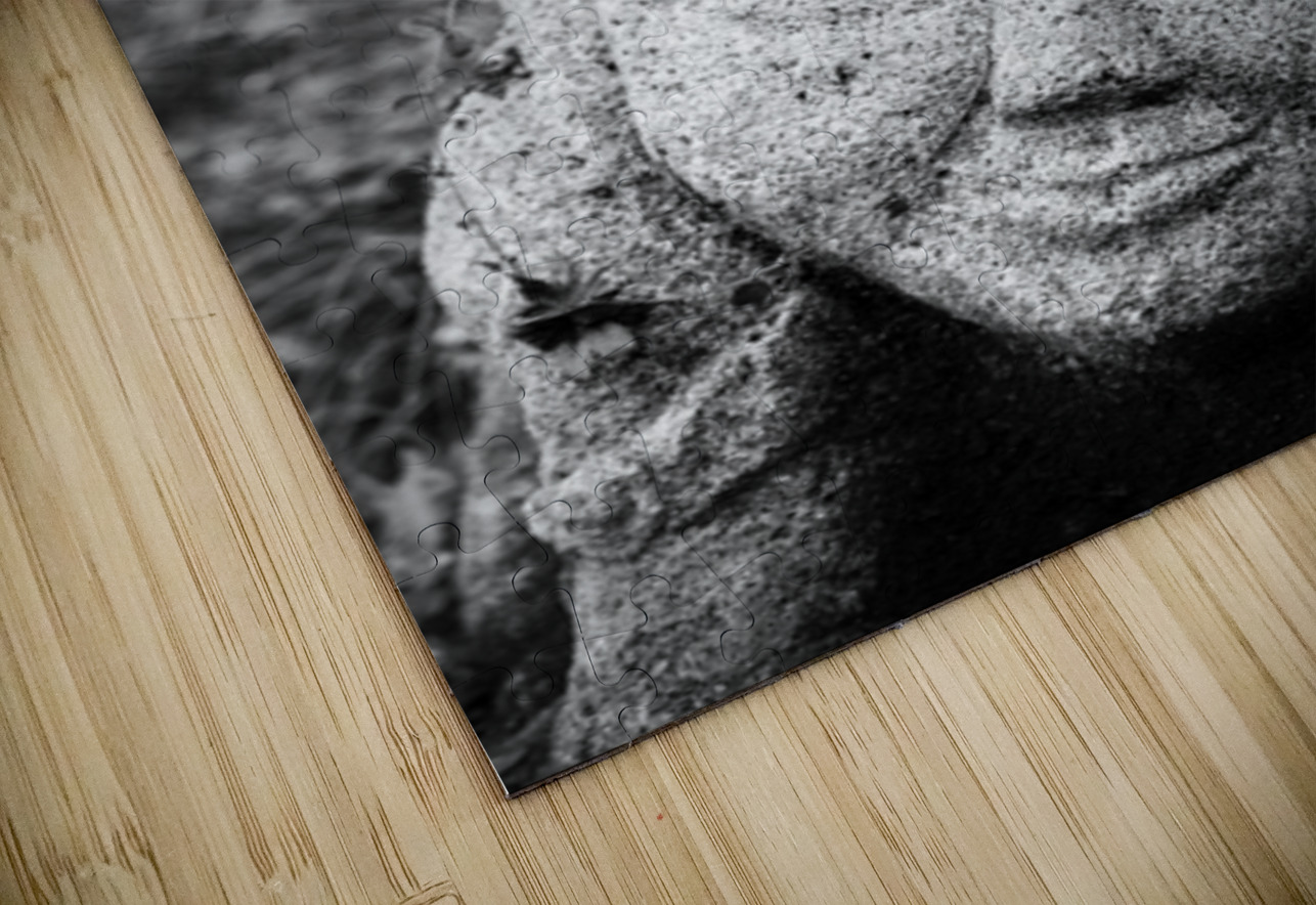 Smiling Rakan Dave Bowman Puzzle