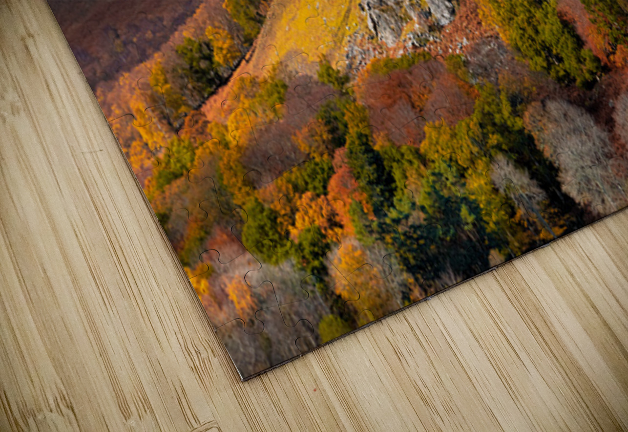 Autumn at Craigower Dave Bowman Puzzle