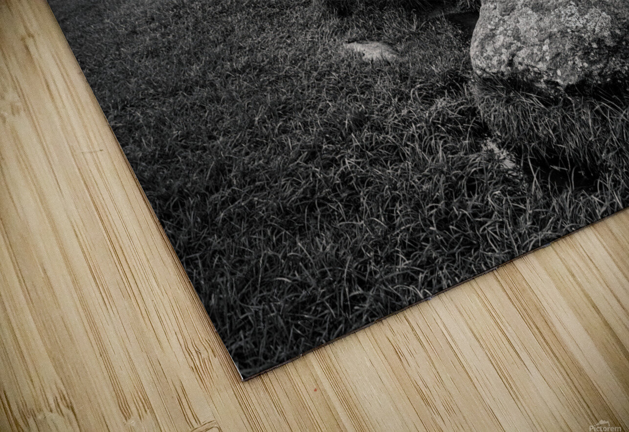 Castlerigg Stone Circle II Dave Bowman Puzzle