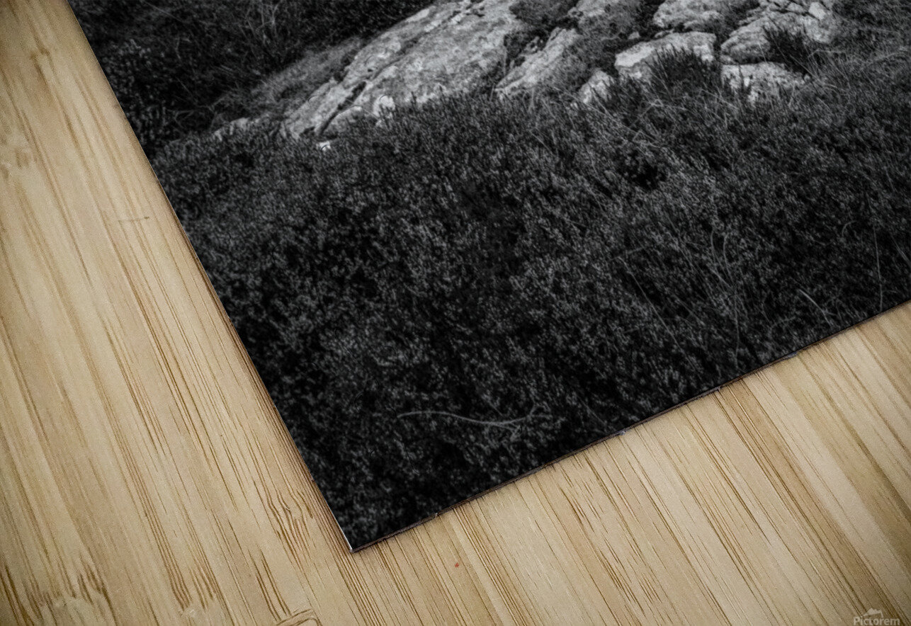 Abandoned Schoolhouse Dave Bowman Puzzle