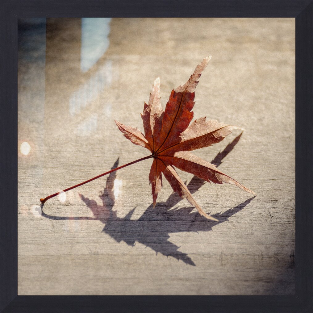 Impression de cadre personnalisé