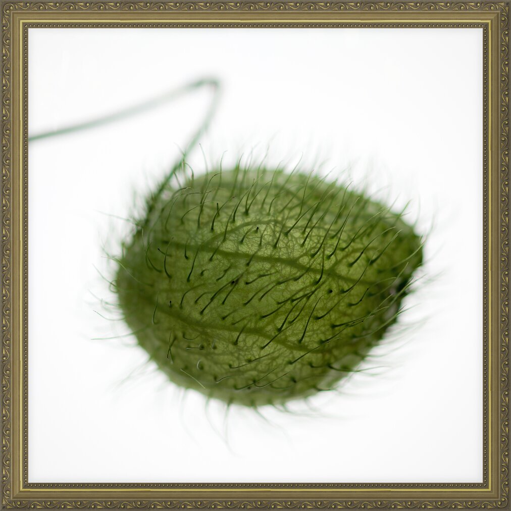 Impression de cadre personnalisé