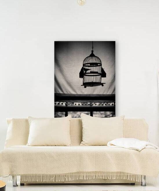 Birdcage by Dave Bowman