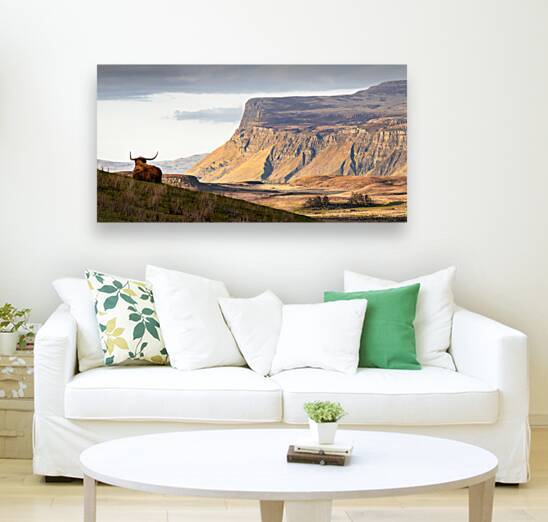 Highland Coo with a View by Dave Bowman