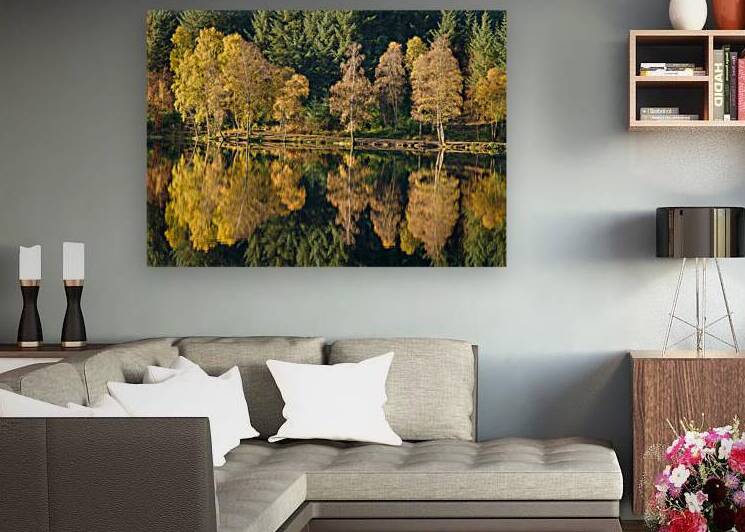 Autumn on Glencoe Lochan by Dave Bowman