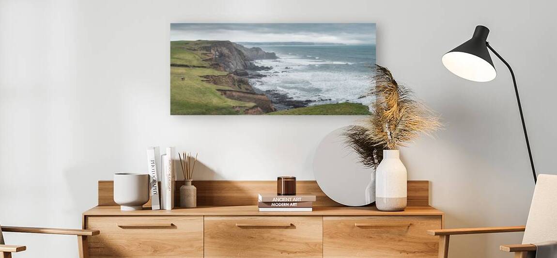 A Walk Along Sandymouth Cliffs by Dave Bowman