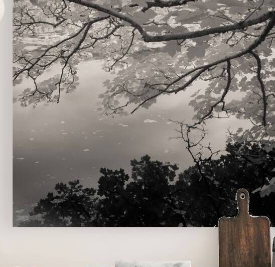 Bosherston Lakes by Dave Bowman