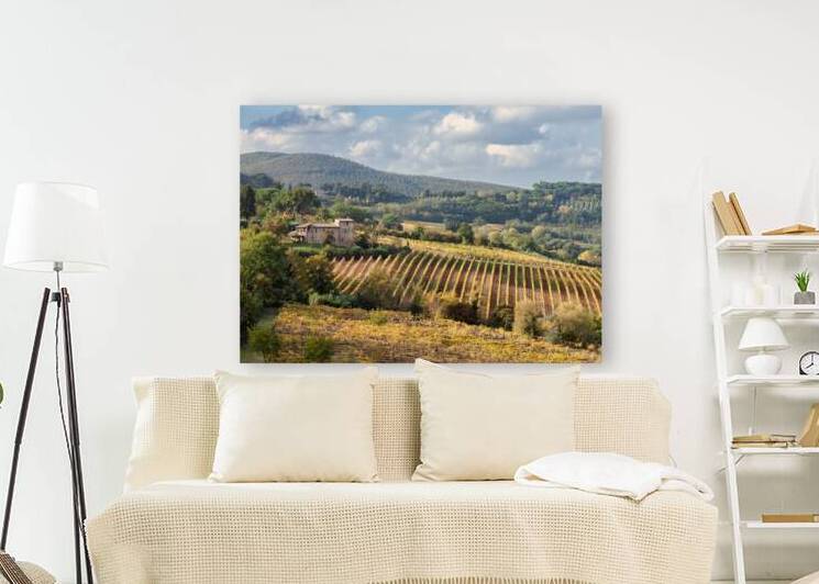 Tuscan Valley by Dave Bowman