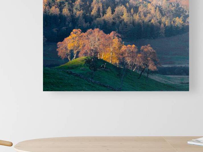 Autumn in Glenshee by Dave Bowman