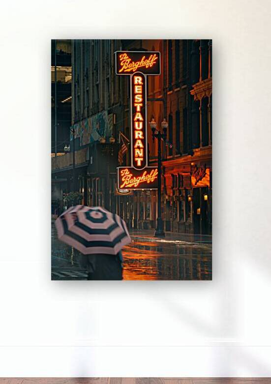 Chicago Rain by Dave Bowman