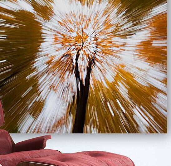 Autumn Explosion by Dave Bowman