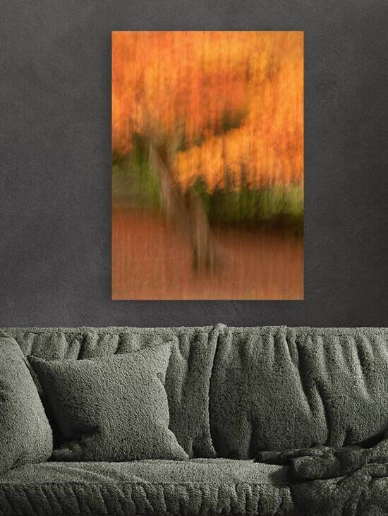 Autumn in Motion by Dave Bowman