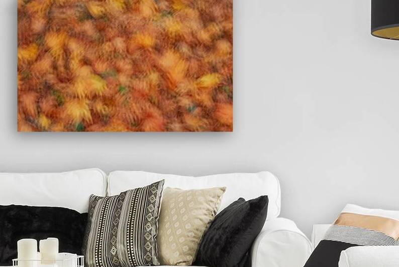 Autumn Leaves by Dave Bowman