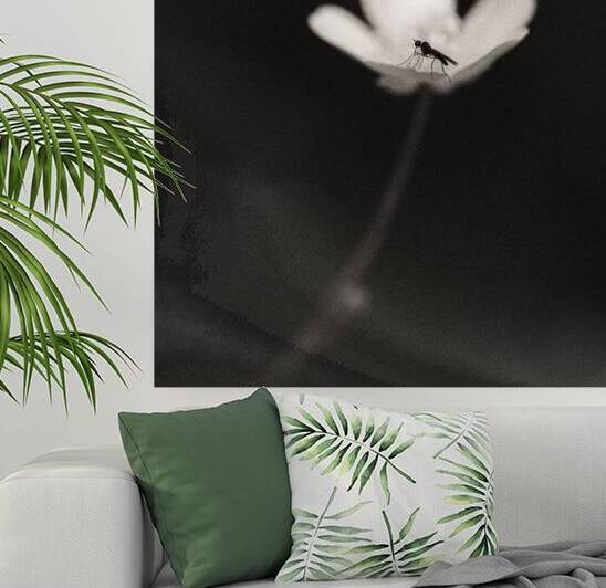 Woodland Study 1 by Dave Bowman