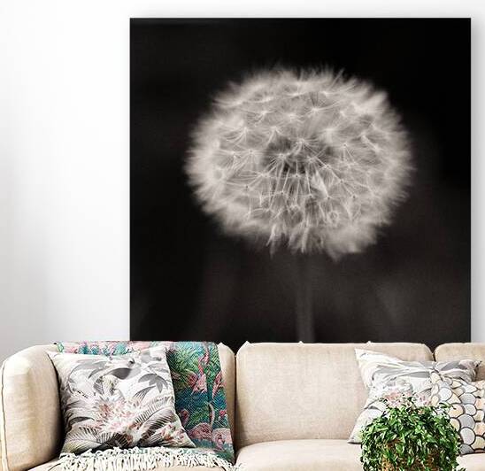 Woodland Study 5 by Dave Bowman