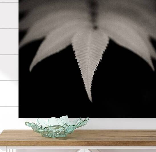 Woodland Study 8 by Dave Bowman