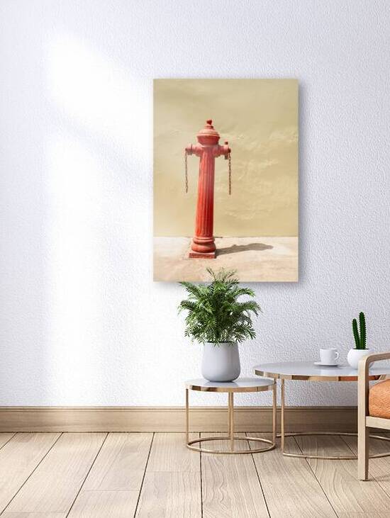 Penang Fire Hydrant by Dave Bowman