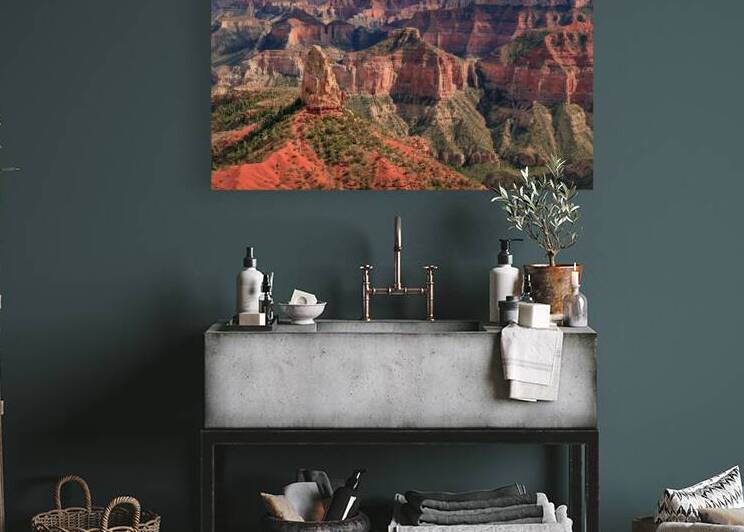 North Rim View by Dave Bowman