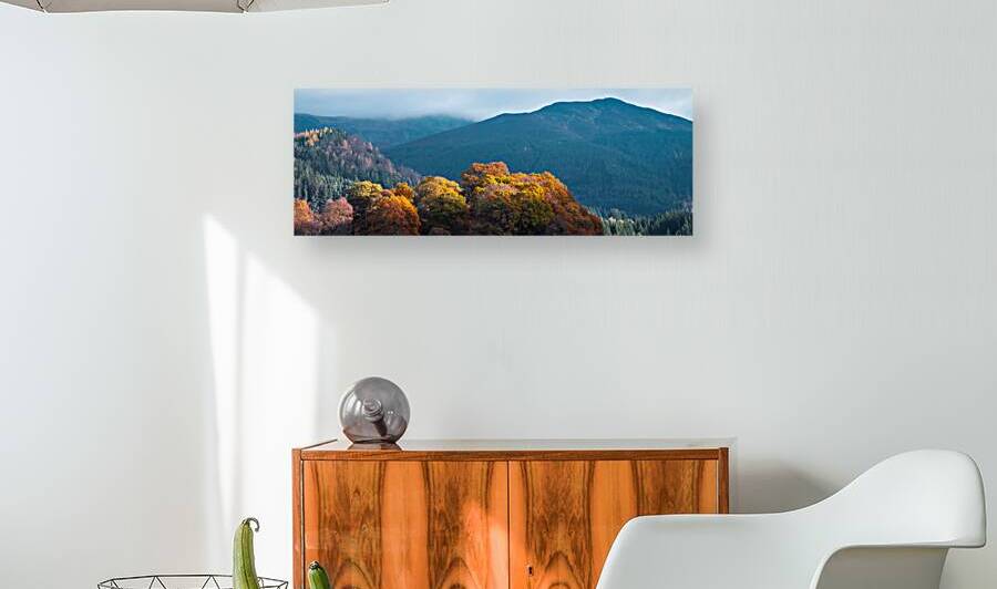 Autumn at Tay Forest Park by Dave Bowman