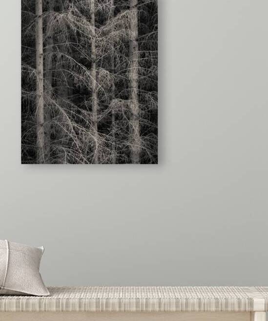 The Edge of Silence by Dave Bowman