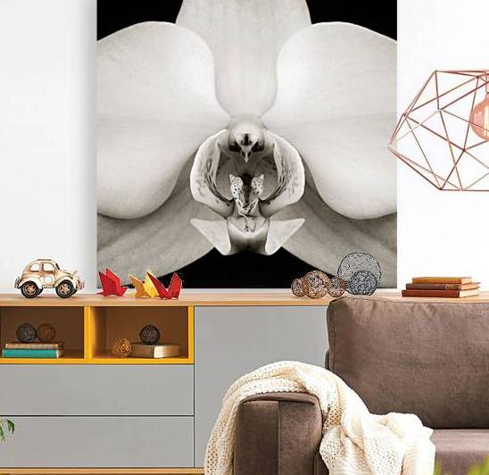 Orchid by Dave Bowman