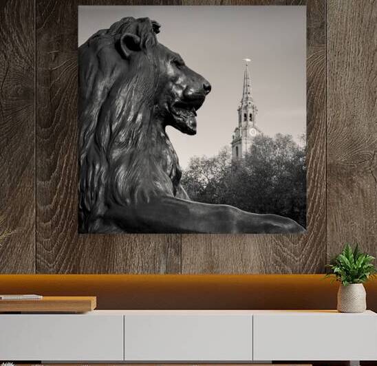 Trafalgar Square Lion by Dave Bowman