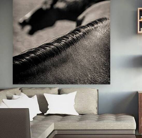 Horse Play by Dave Bowman