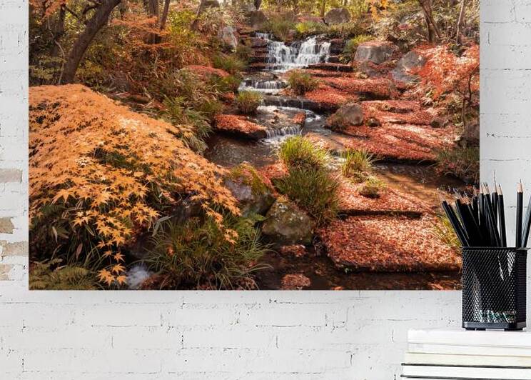 Autumn in Kokoen Garden by Dave Bowman