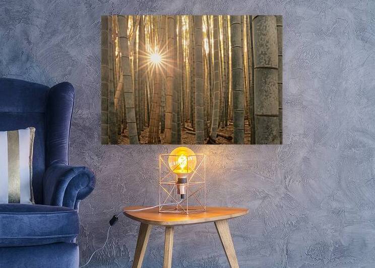 Sunlight in the Bamboo Forest by Dave Bowman