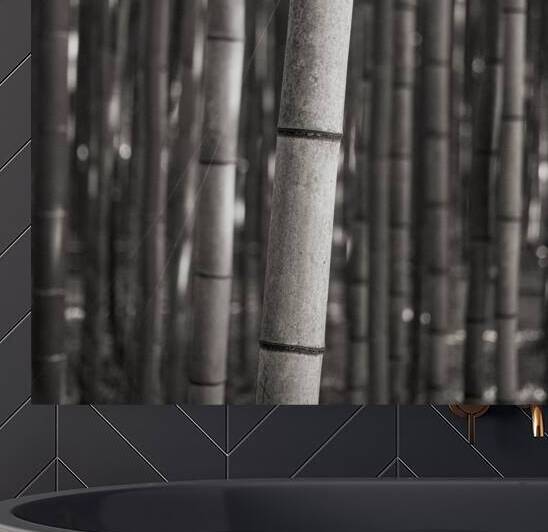 Arashiyama Bamboo by Dave Bowman