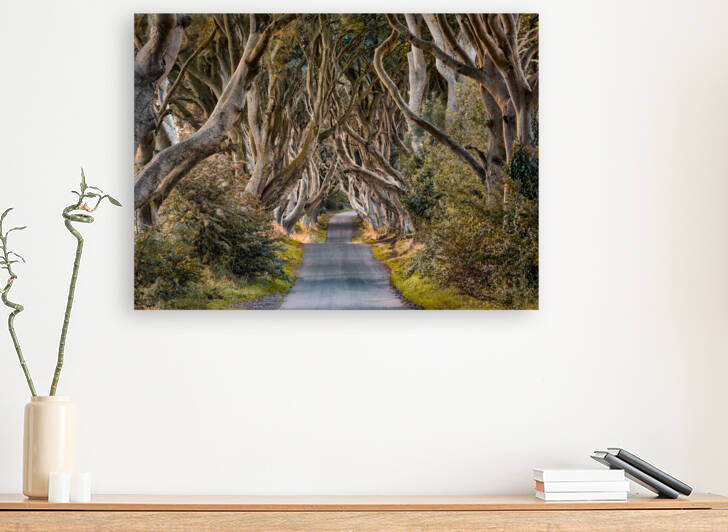 The Dark Hedges by Dave Bowman