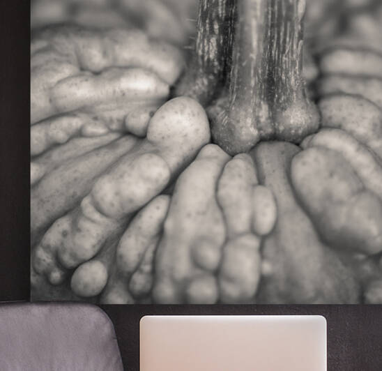 Knucklehead Pumpkin by Dave Bowman