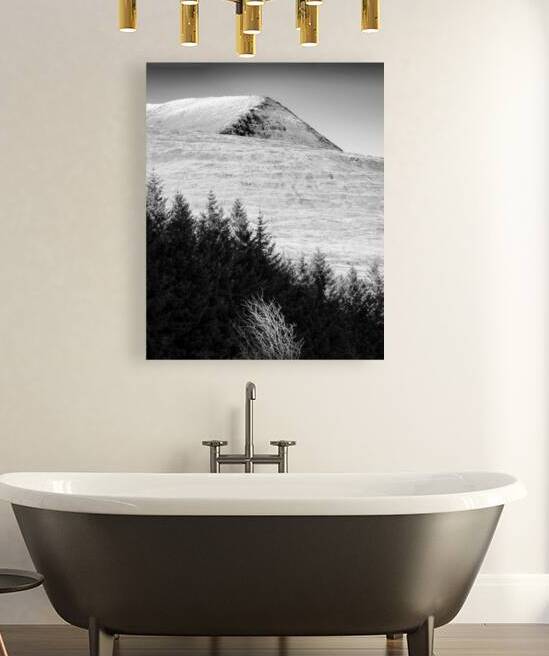 Mull Trees and Peak by Dave Bowman