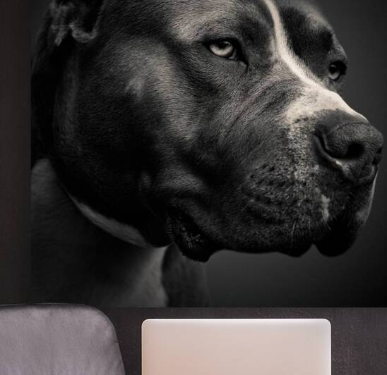 Big Fella by Dave Bowman